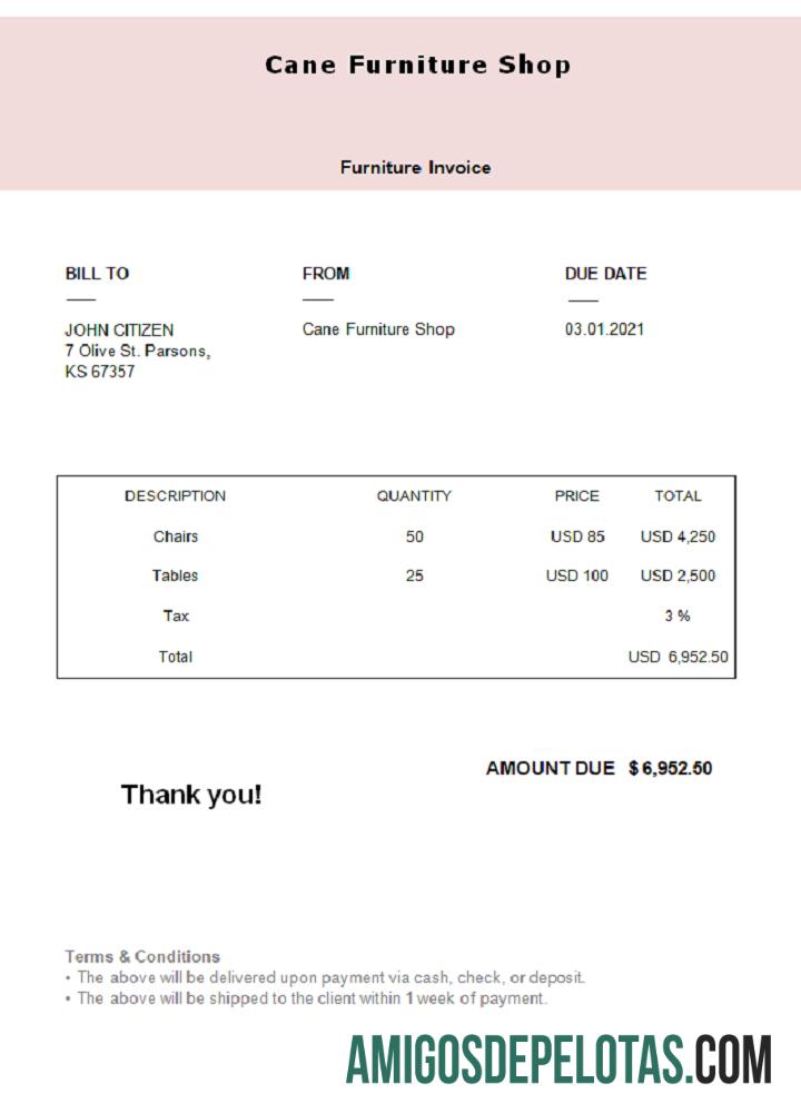 Fatura da loja de móveis de cana dos EUA exemplo real